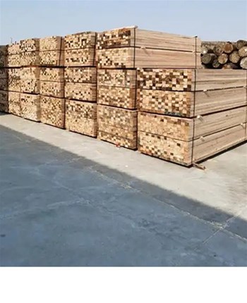 廠家進行淺談中國建筑木方霉變的原因